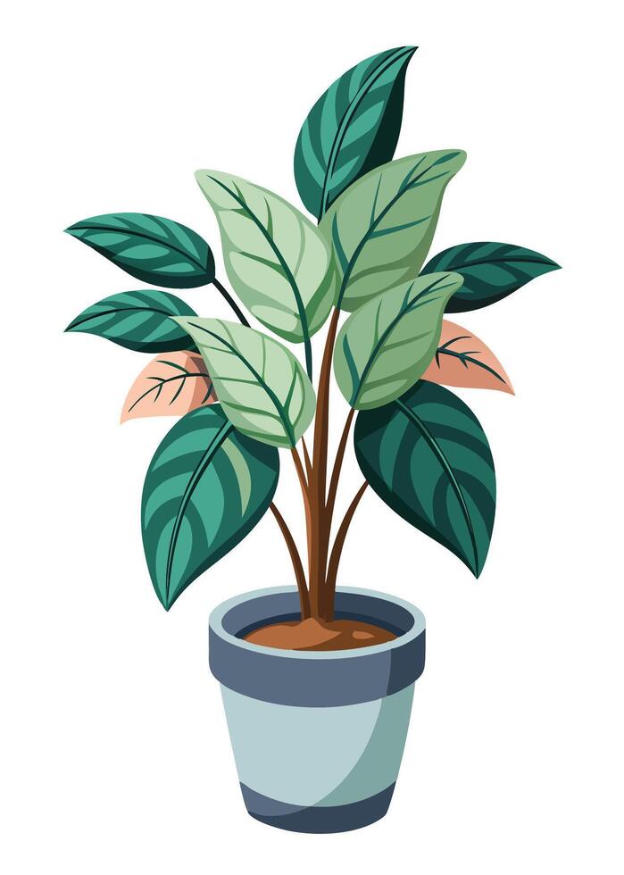 Indoor Plant art on white background vector