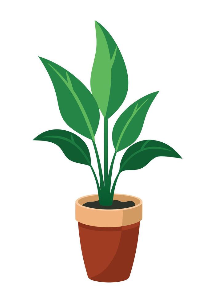 Indoor Plant art on white background vector