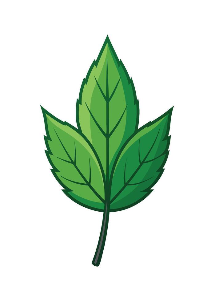 art of Leaf drawing Abstract minimal flat art vector