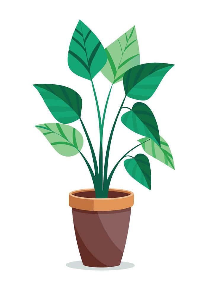 Indoor Plant art on white background vector
