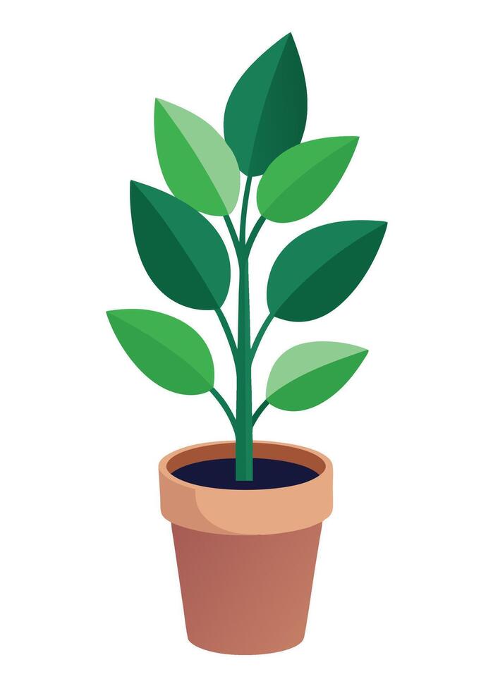 Indoor Plant art on white background vector
