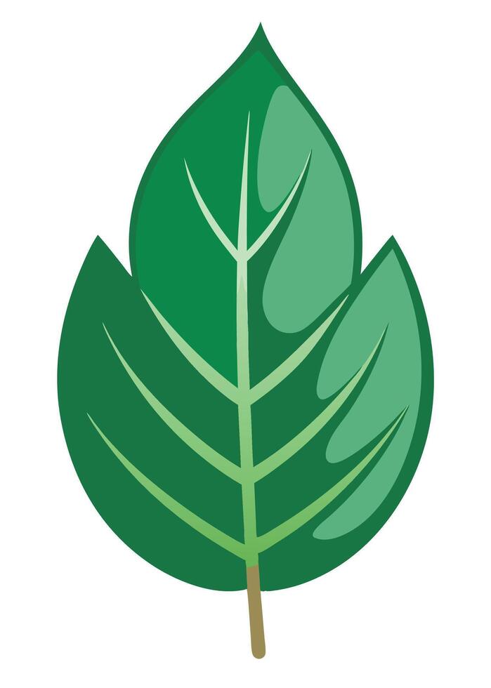 art of Leaf drawing Abstract minimal flat art vector