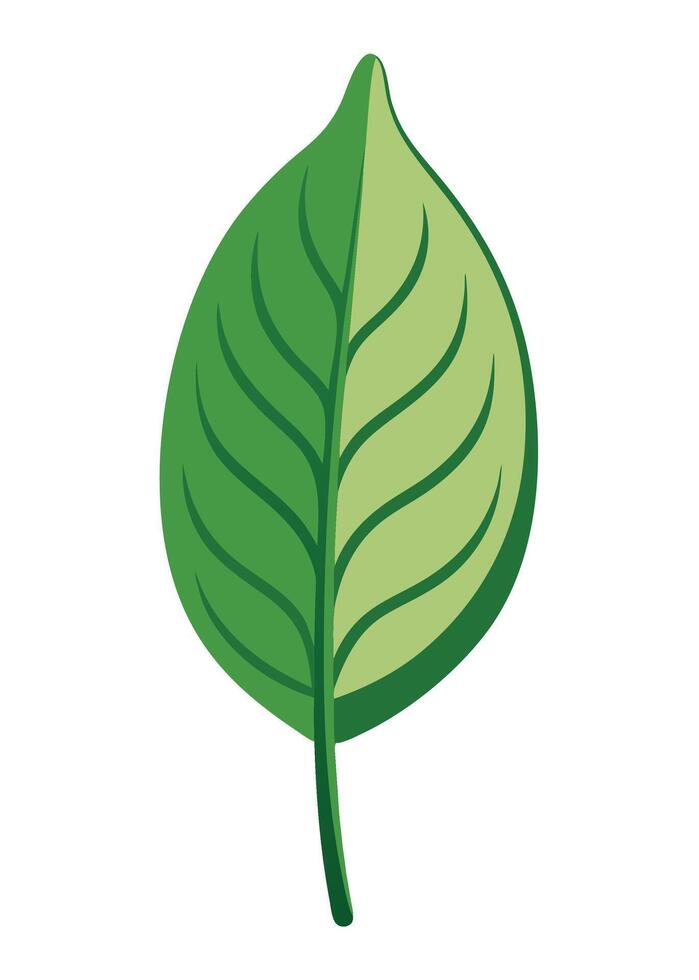 art of Leaf drawing Abstract minimal flat art vector