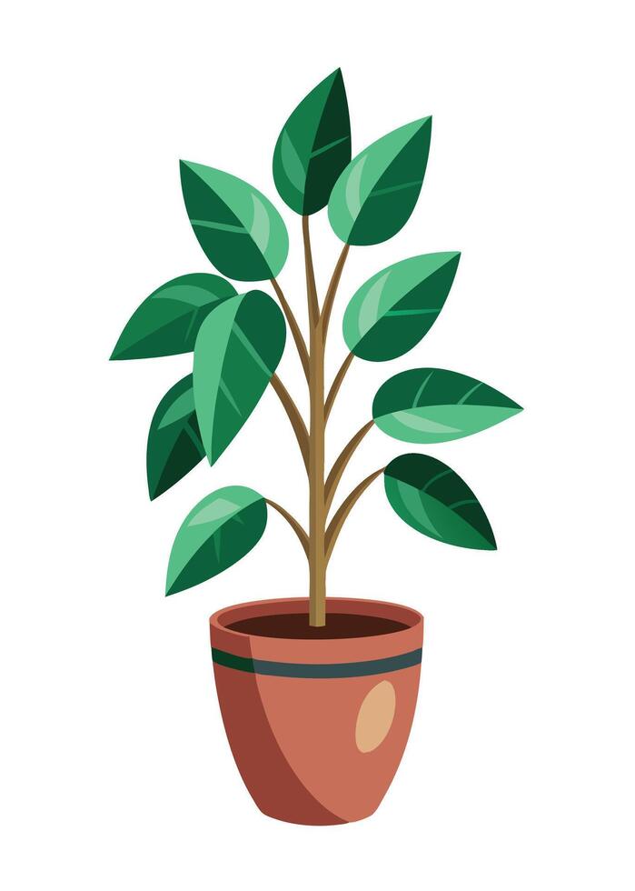 Indoor Plant art on white background vector