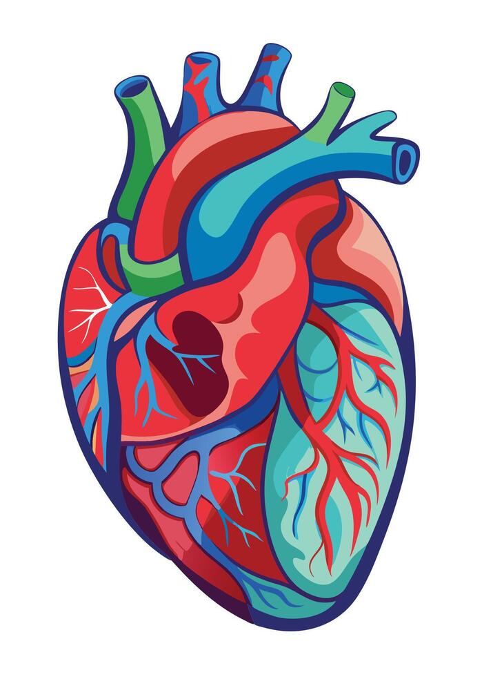 art of Human heart drawing Abstract minimal flat art vector