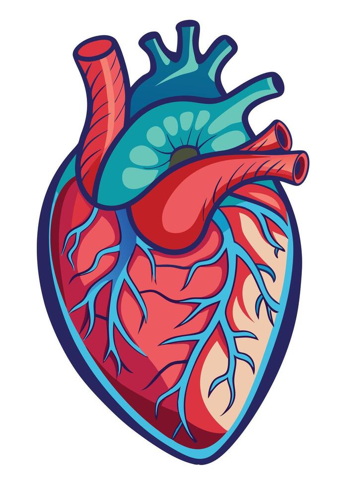 art of Human heart drawing Abstract minimal flat art vector
