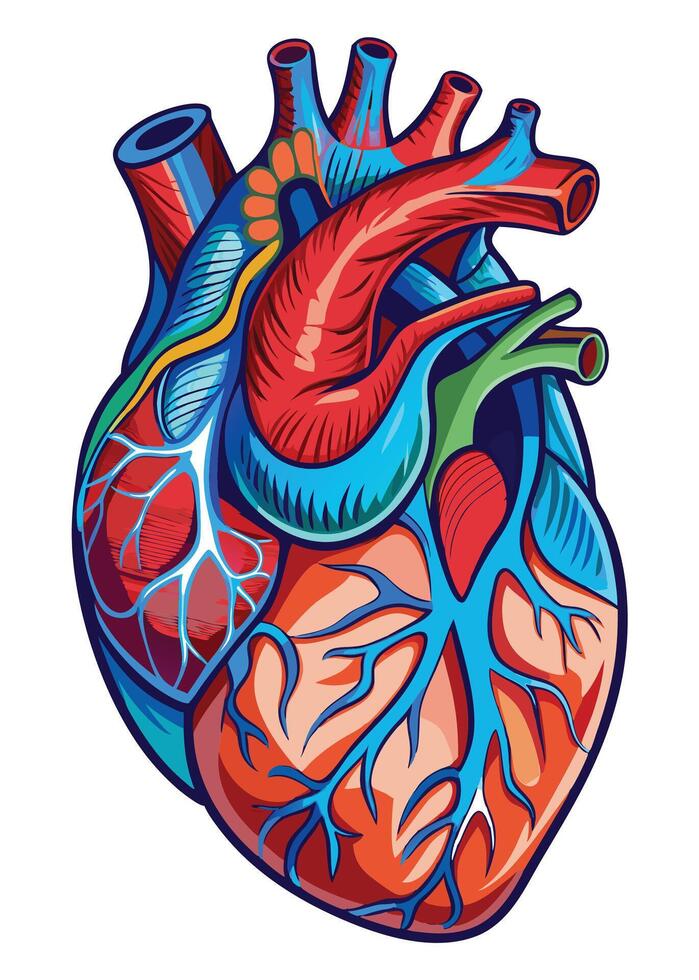 art of Human heart drawing Abstract minimal flat art vector