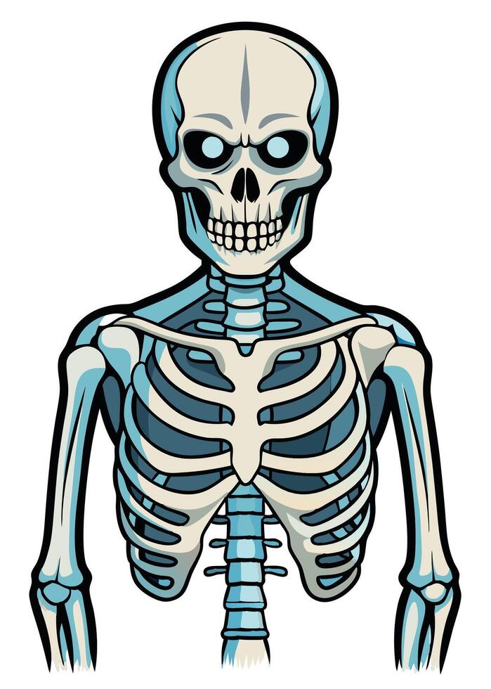 art of Human skeleton drawing Abstract minimal flat art vector
