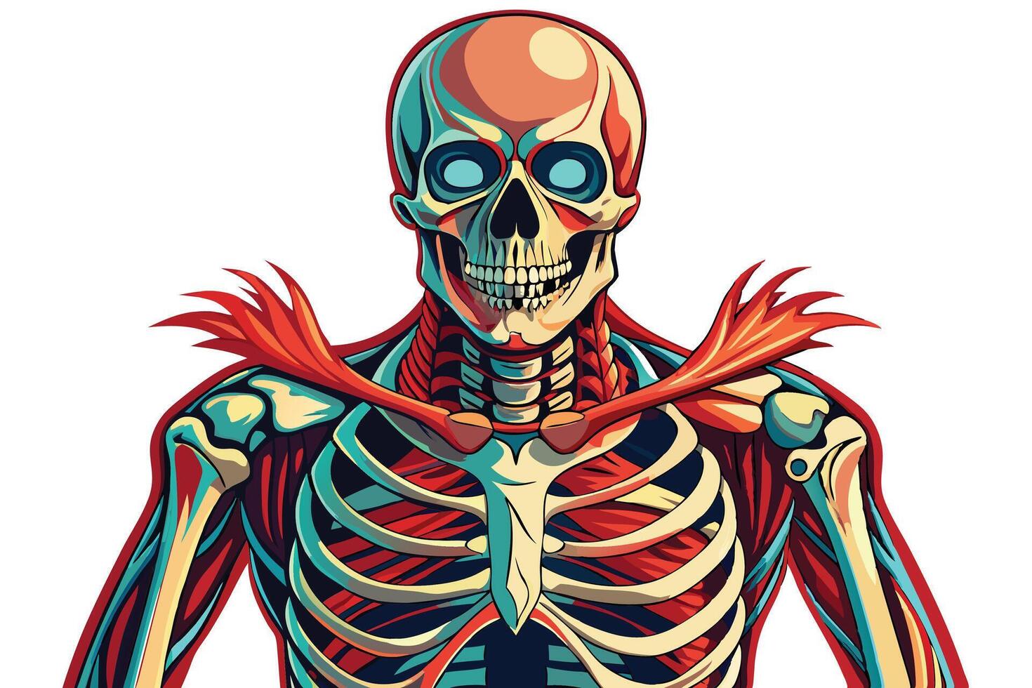 art of Human skeleton drawing Abstract minimal flat art vector