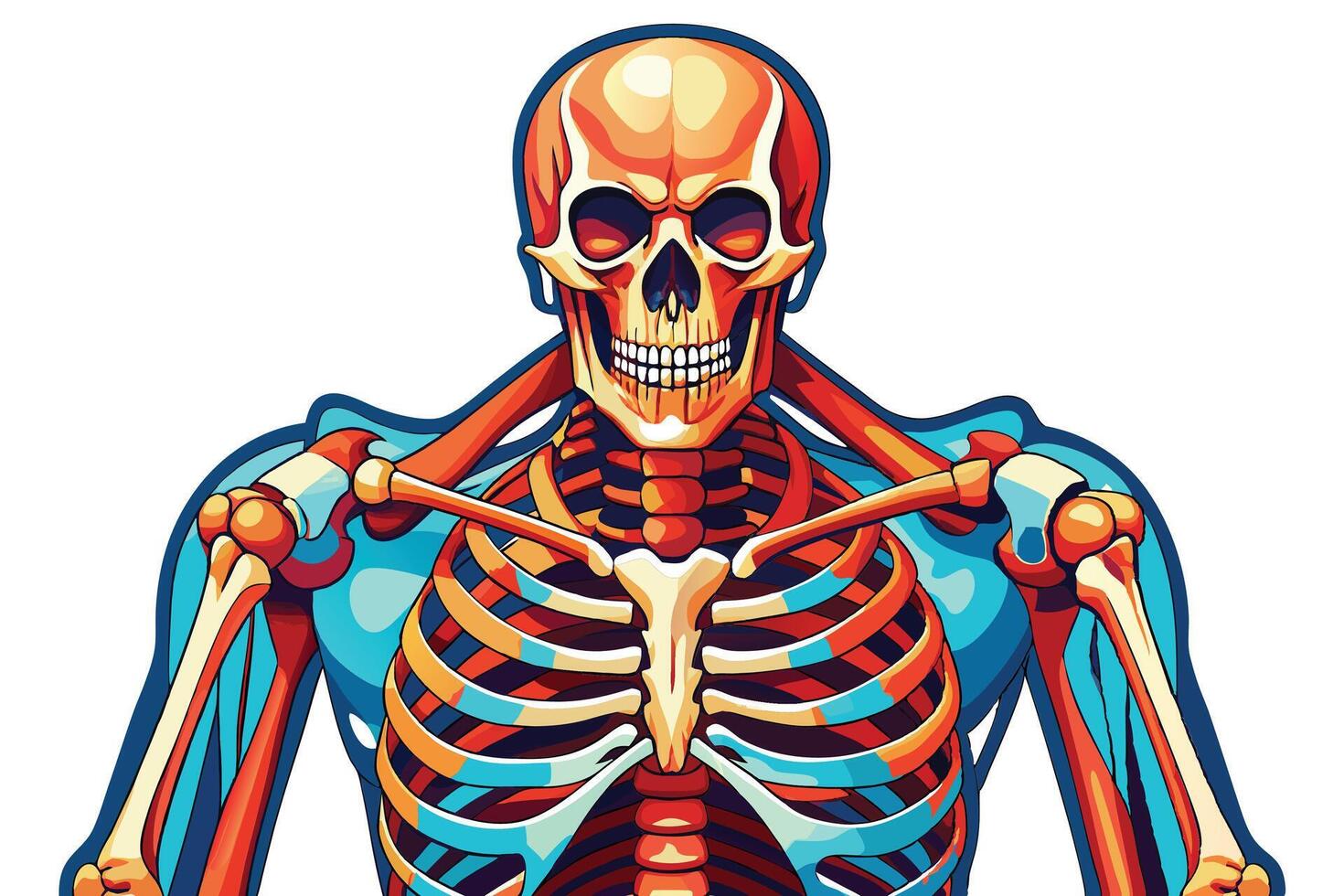 art of Human skeleton drawing Abstract minimal flat art vector