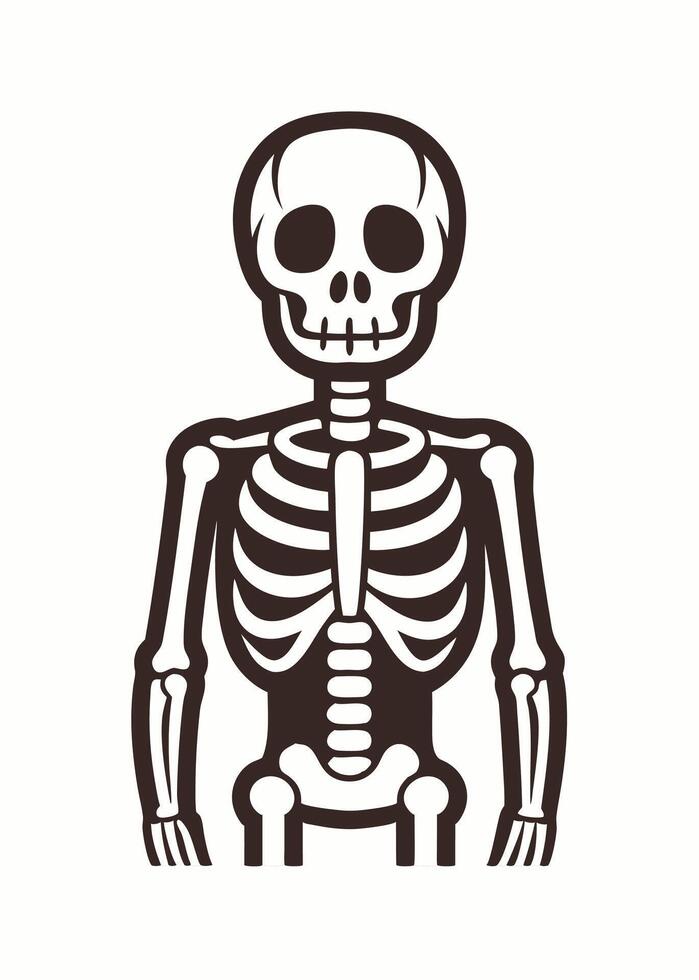 art of Human skeleton drawing Abstract minimal flat art vector