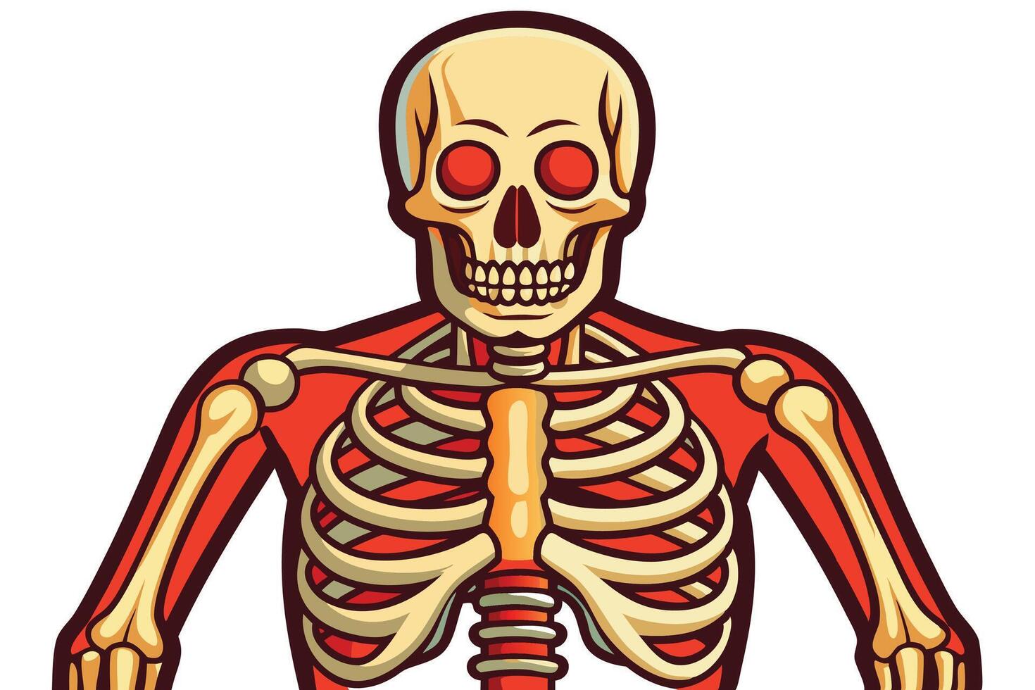 art of Human skeleton drawing Abstract minimal flat art vector