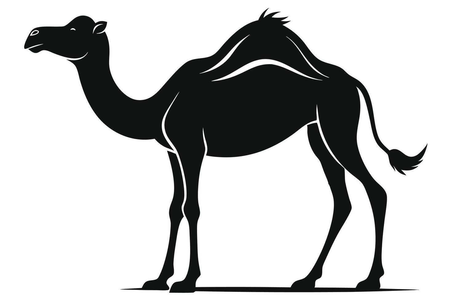 Black camel silhouette on white background vector