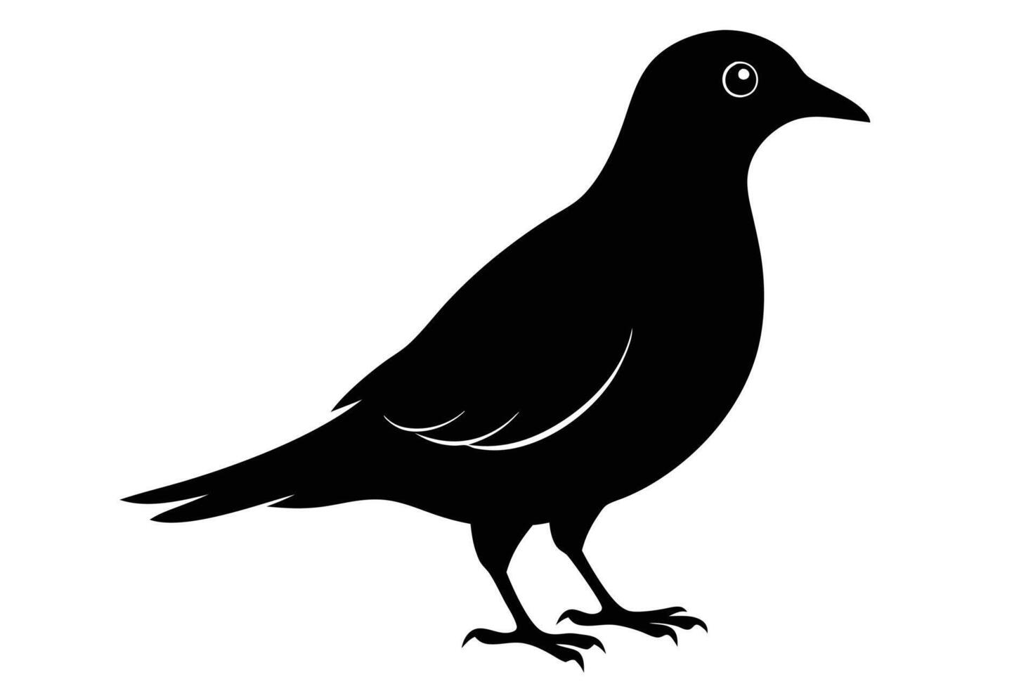 Black bird silhouette on white background vector