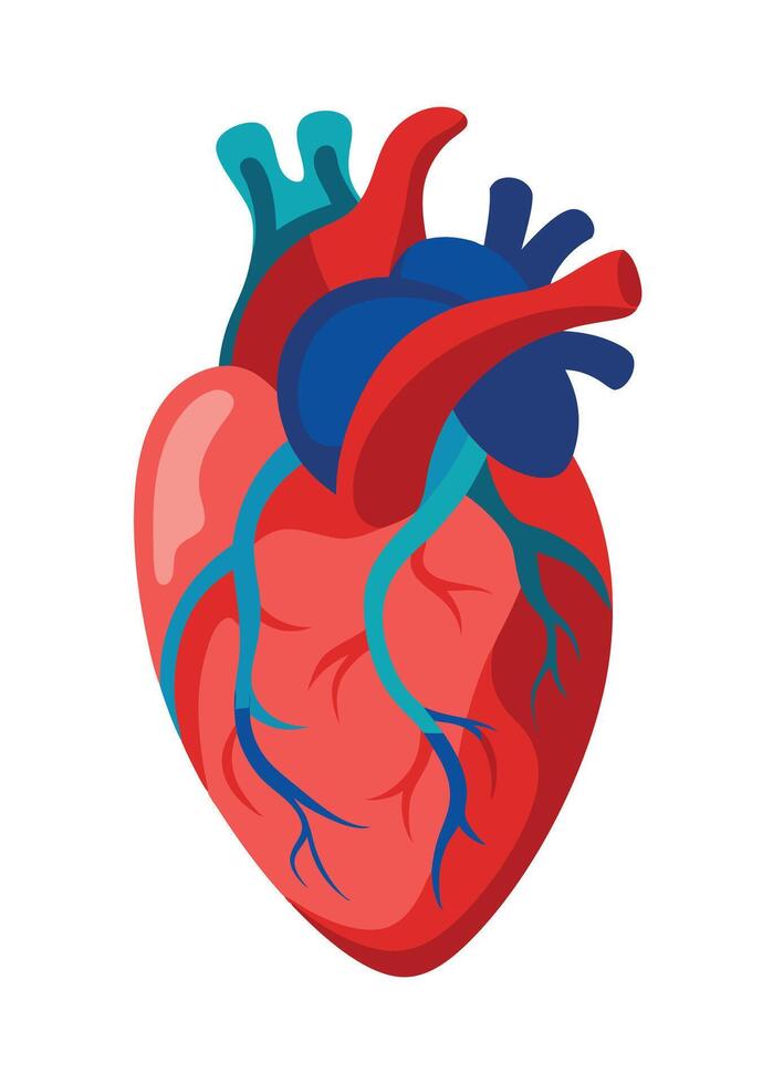art of Human heart drawing Abstract minimal flat art vector