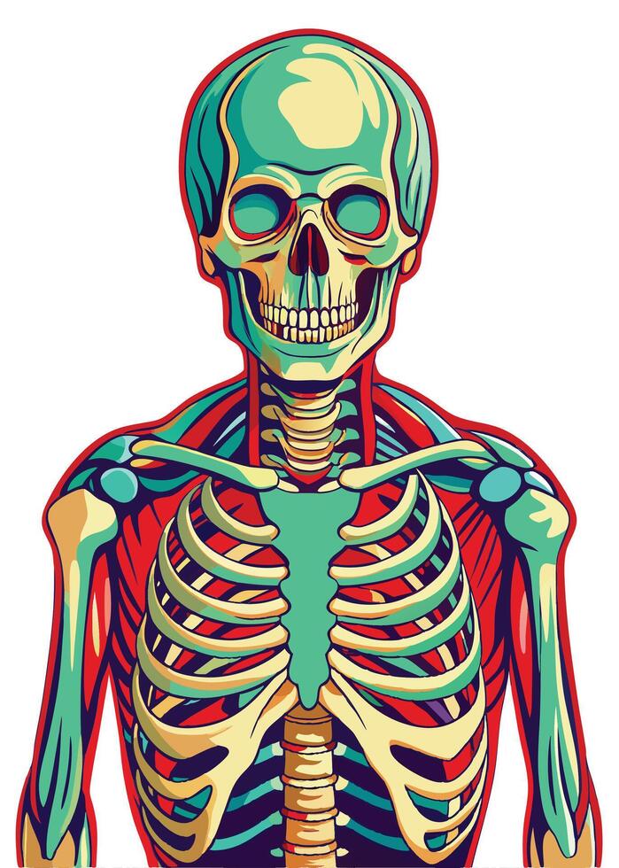 art of Human skeleton drawing Abstract minimal flat art vector