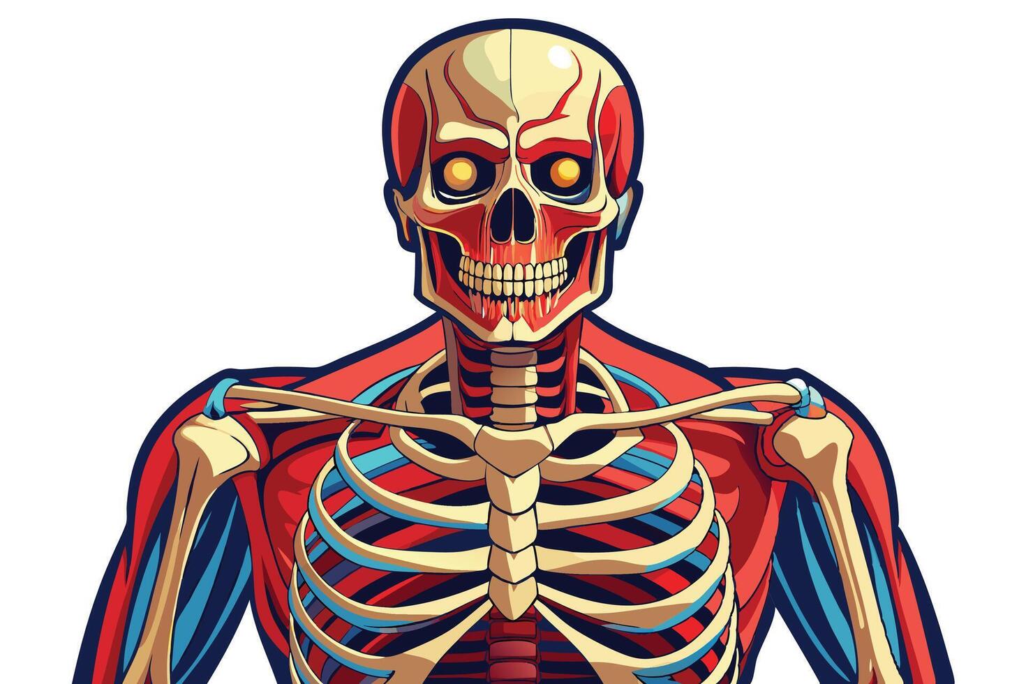 art of Human skeleton drawing Abstract minimal flat art vector
