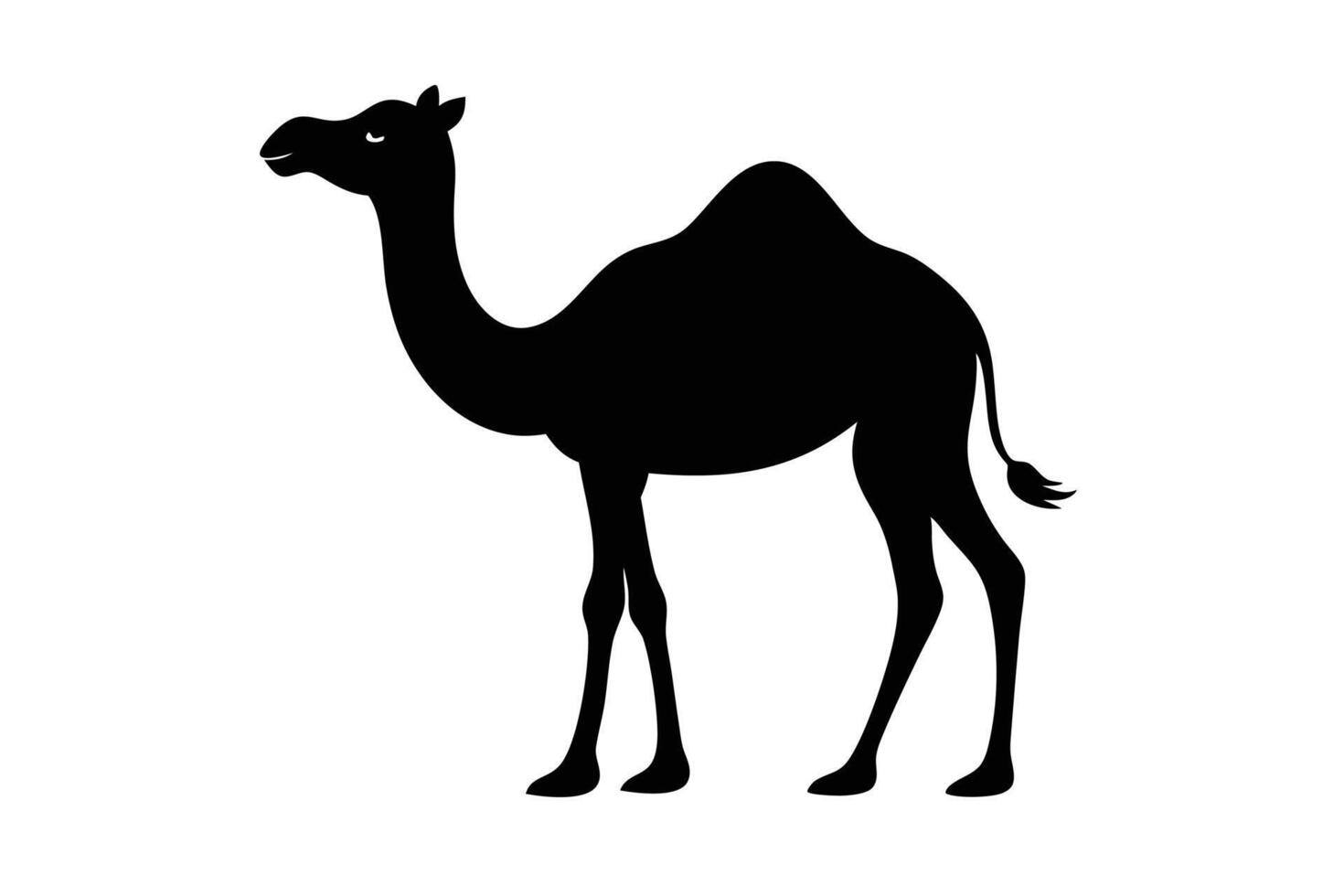 Black camel silhouette on white background vector