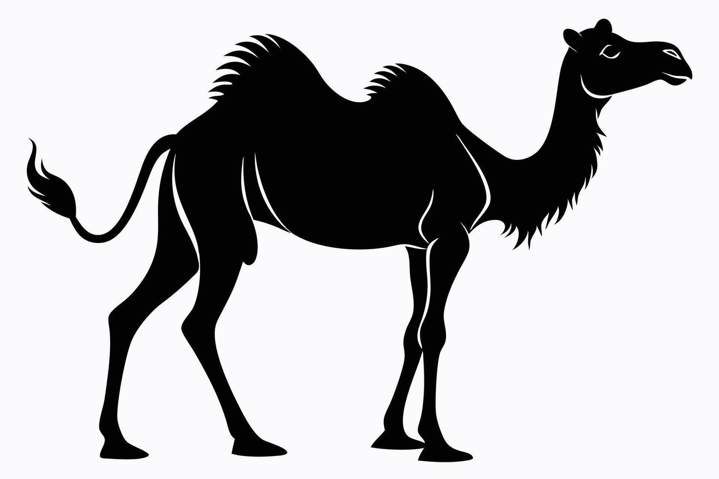 Black camel silhouette on white background vector