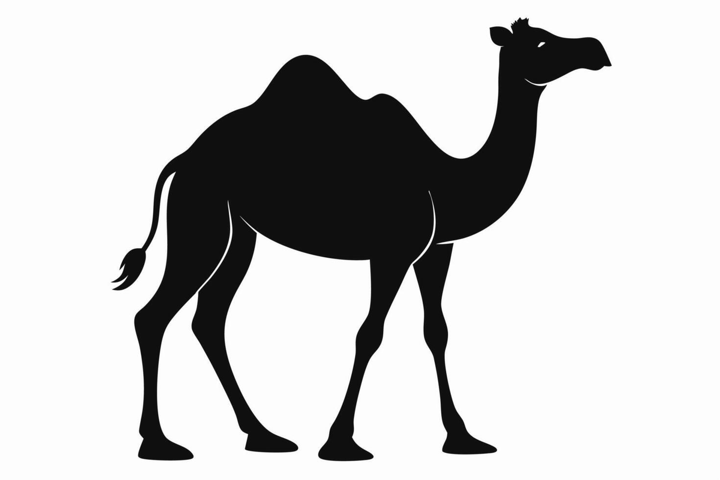 Black camel silhouette on white background vector