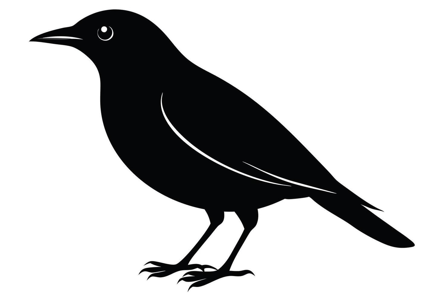Black bird silhouette on white background vector