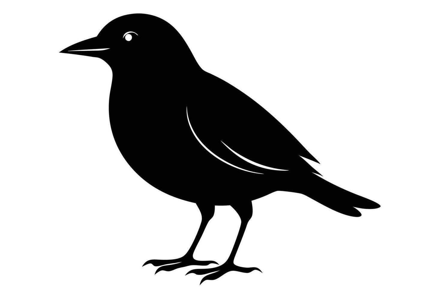 Black bird silhouette on white background vector