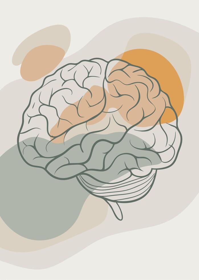 Brain line art vector
