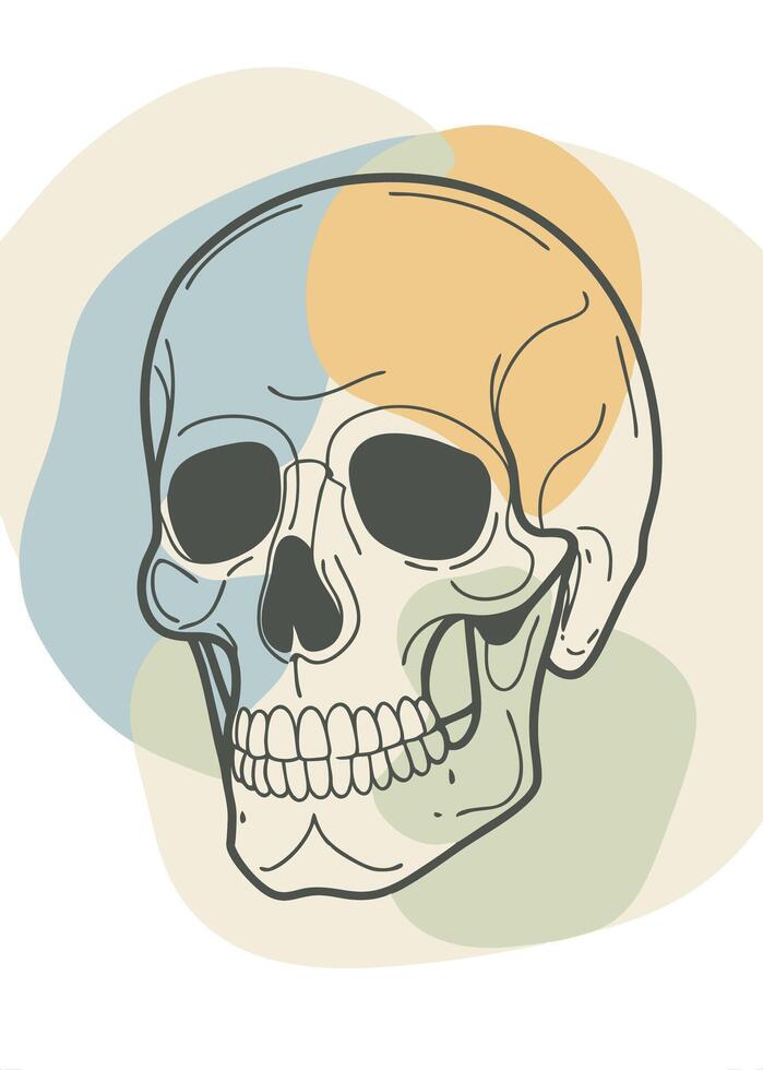 Skull sketch drawing abstract minimal continuous line wall decor vector