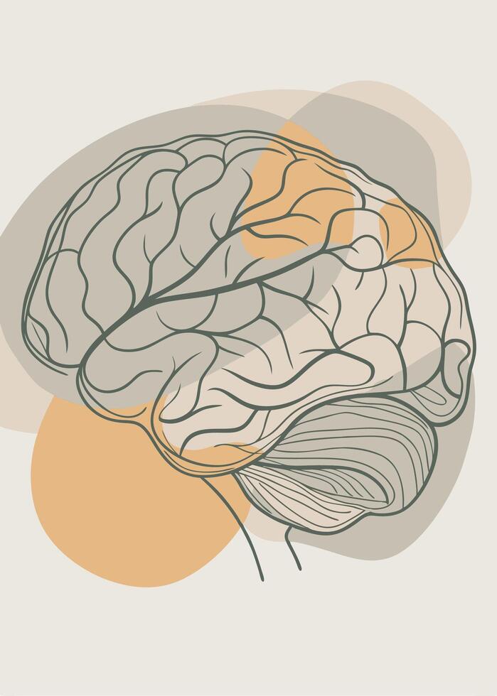 Human brain drawing Abstract minimal continuous line wall decor vector
