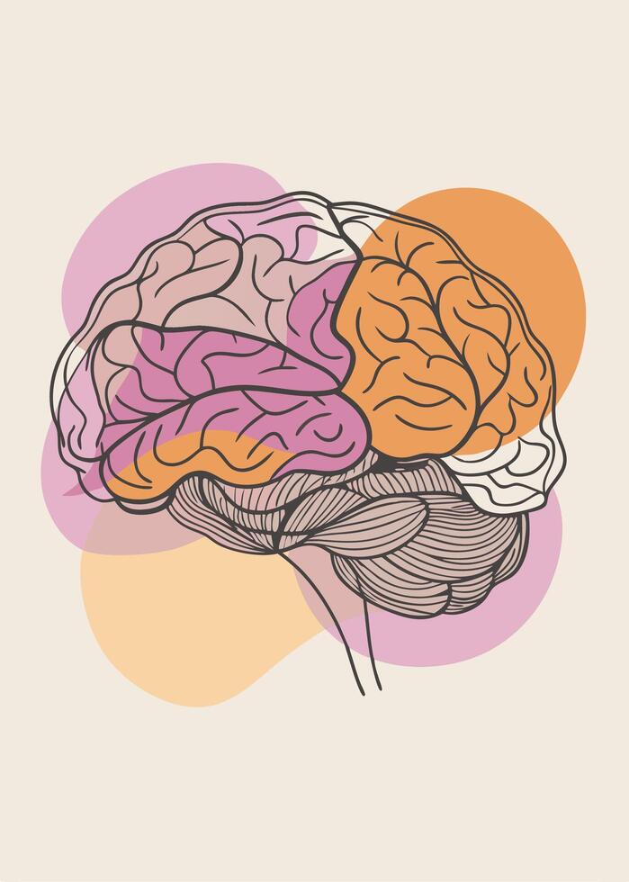Human brain drawing Abstract minimal continuous line wall decor vector