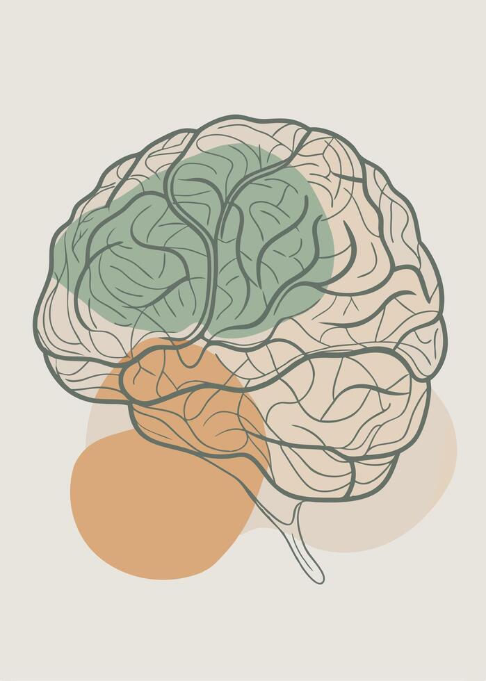 Human brain drawing Abstract minimal continuous line wall decor vector