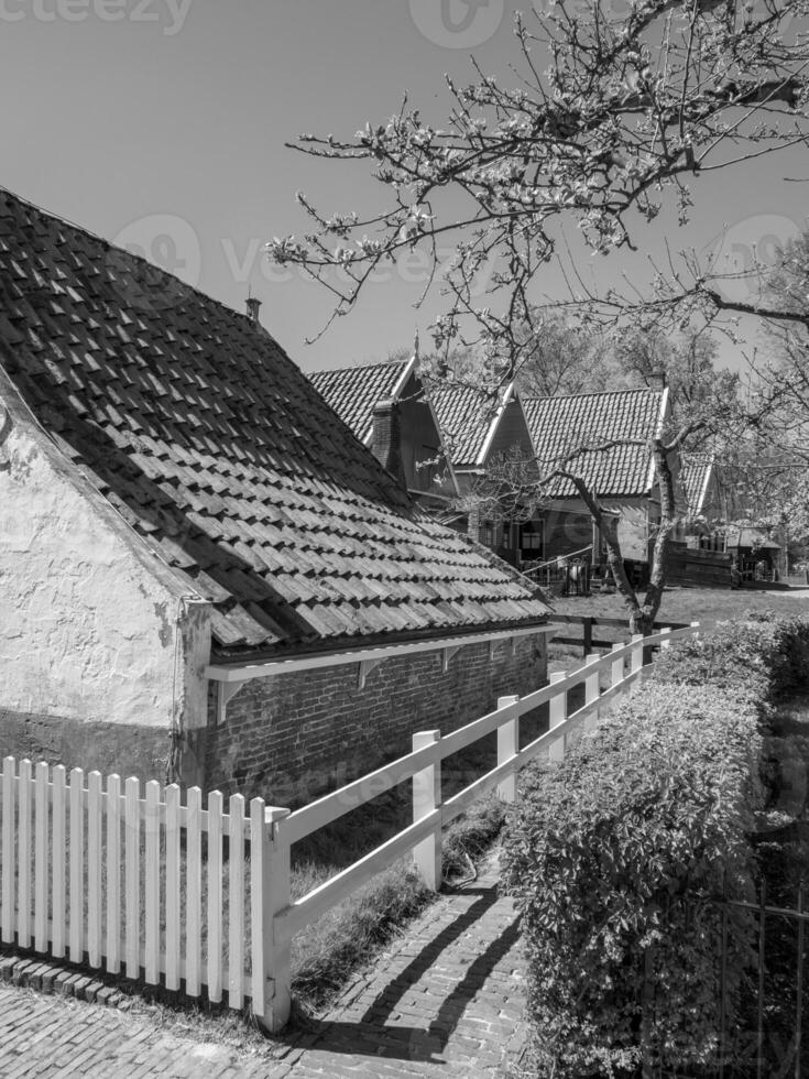 enkhuizen in the netherlands photo