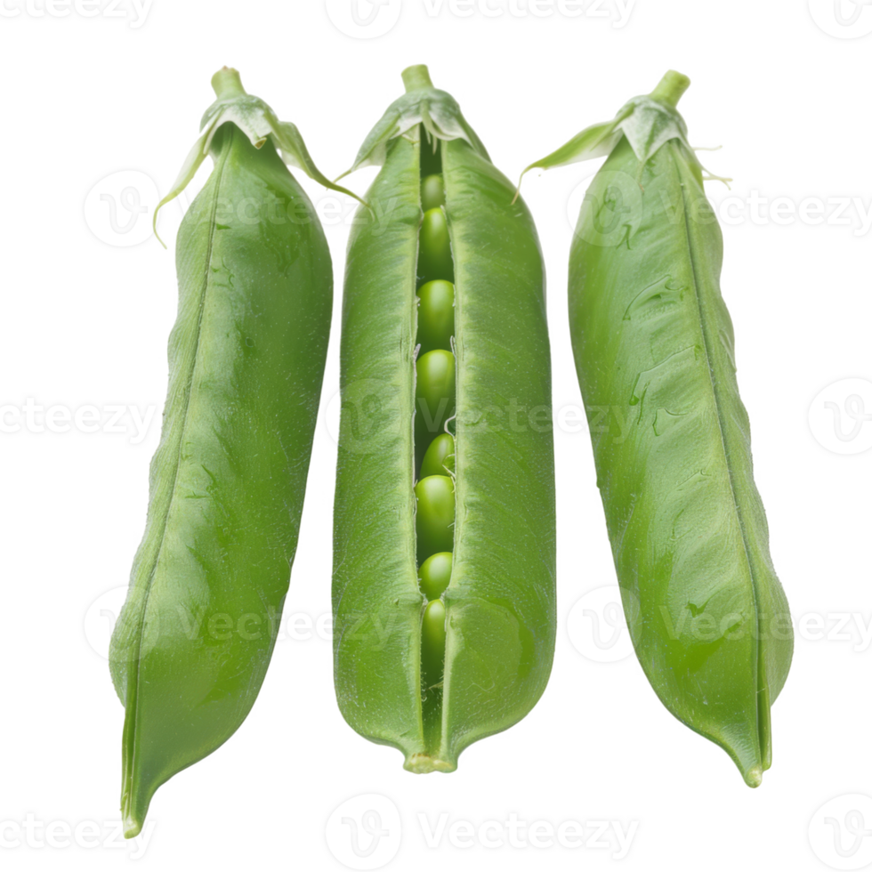 Pea Pods, fruit realistic Illustration. Realistic Transparent file. Mockup template for artwork graphic design png