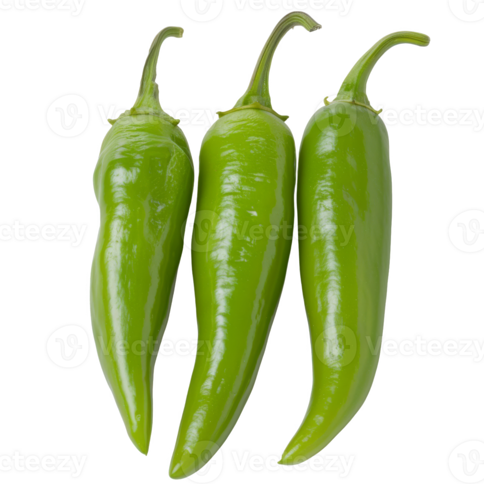 Green Pepper, fruit realistic Illustration. Realistic Transparent file. Mockup template for artwork graphic design png