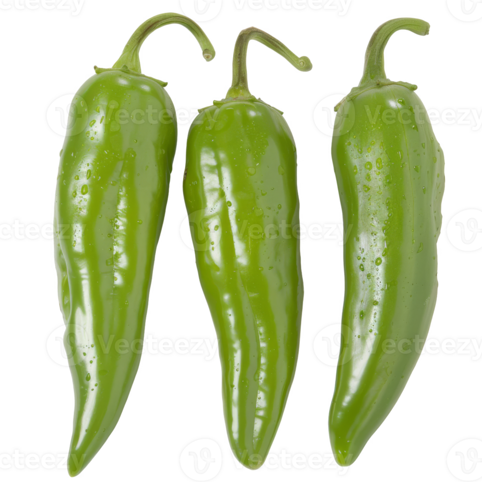 Green Pepper, fruit realistic Illustration. Realistic Transparent file. Mockup template for artwork graphic design png