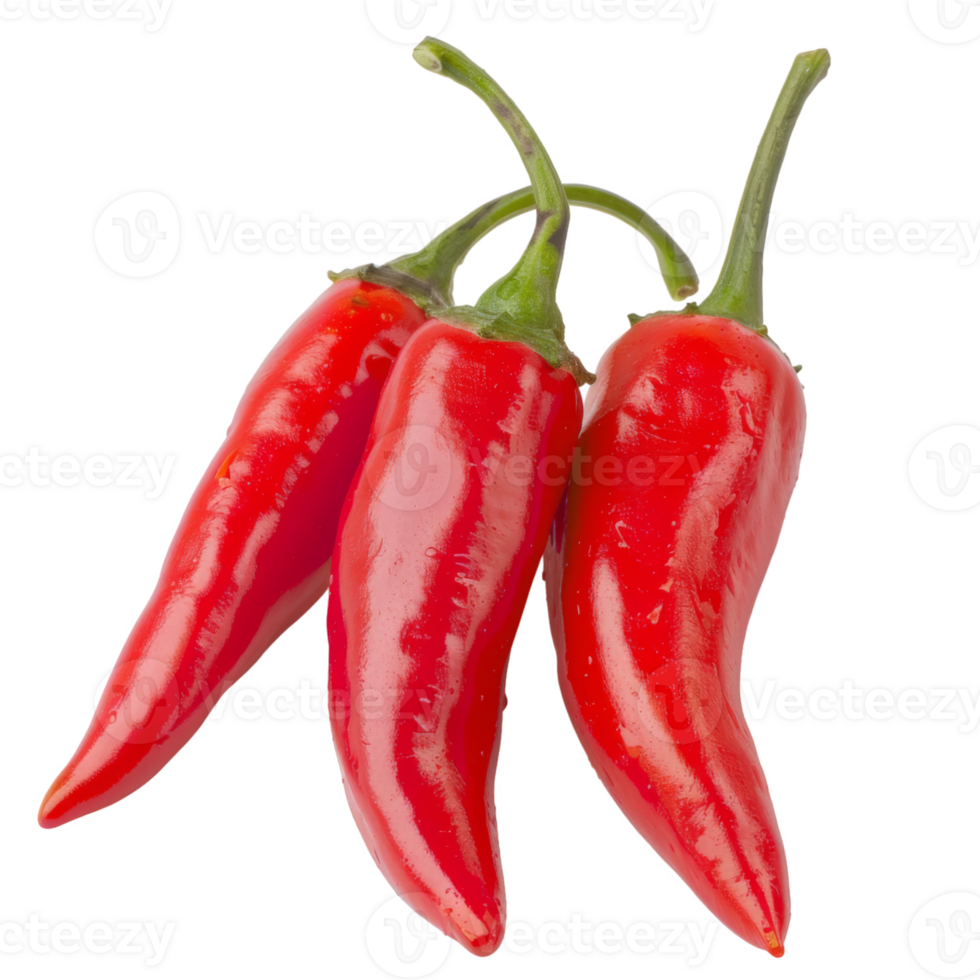 Red Pepper, fruit realistic Illustration. Realistic Transparent file. Mockup template for artwork graphic design png