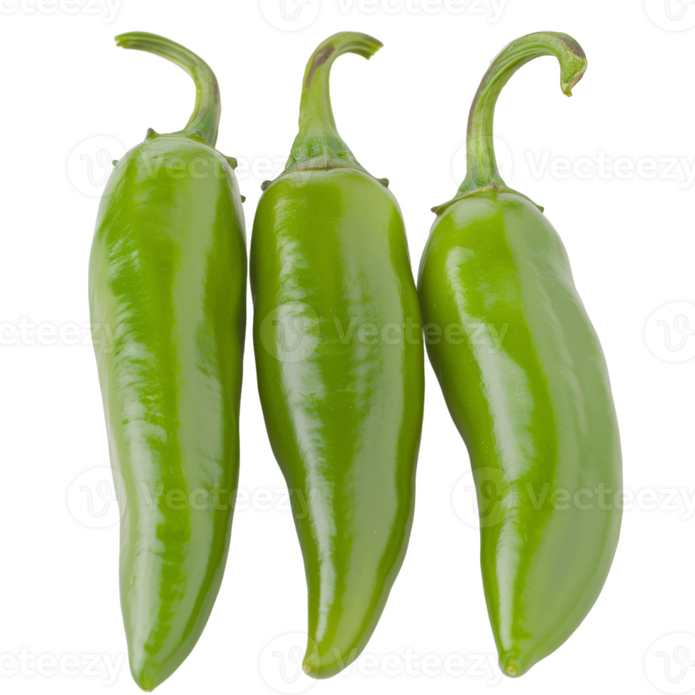 Green Pepper, fruit realistic Illustration. Realistic Transparent file. Mockup template for artwork graphic design png