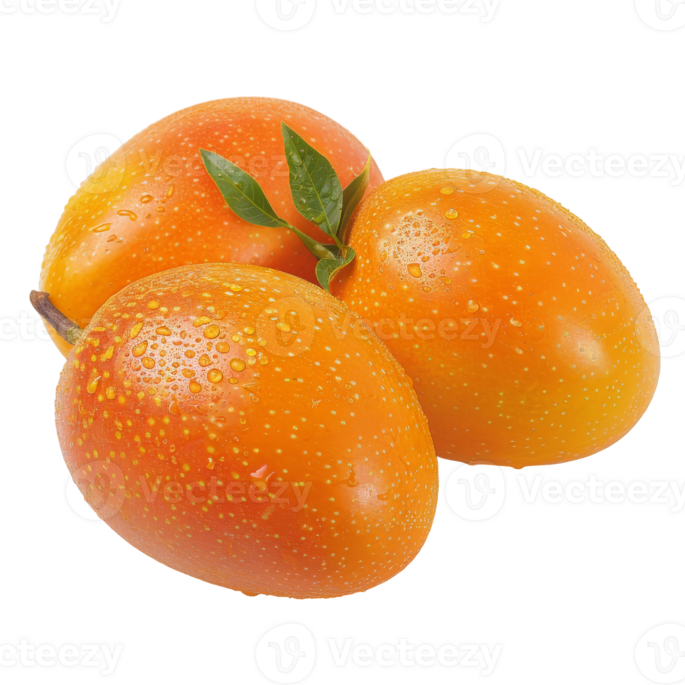 Mango, fruit realistic Illustration. Realistic Transparent file. Mockup template for artwork graphic design png