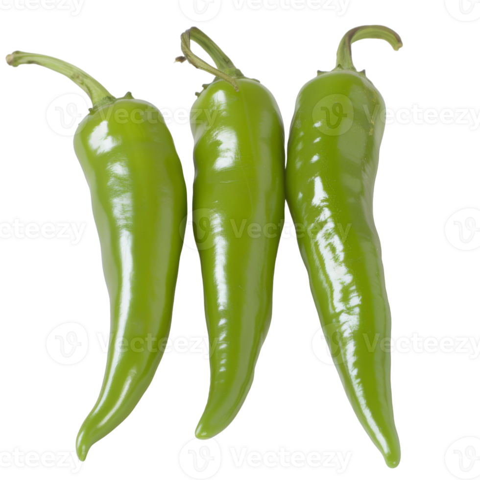 Green Pepper, fruit realistic Illustration. Realistic Transparent file. Mockup template for artwork graphic design png