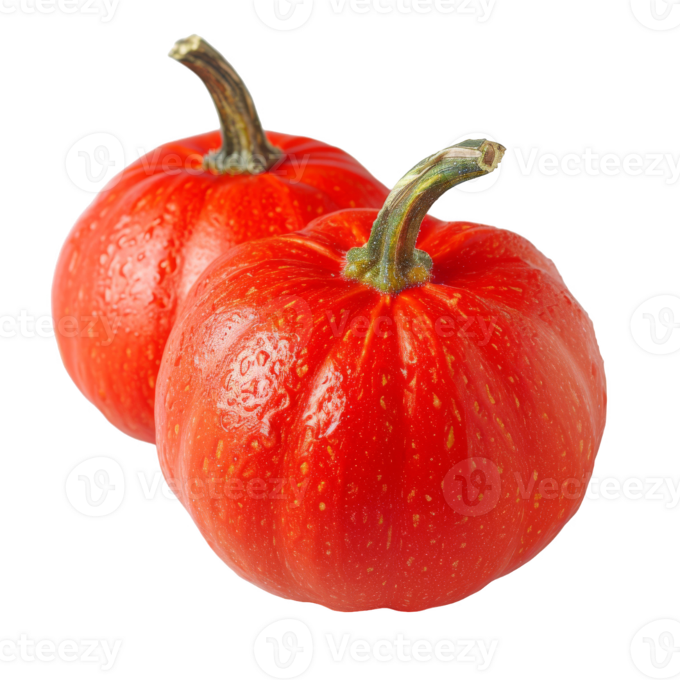 Pumpkin, fruit realistic Illustration. Realistic Transparent file. Mockup template for artwork graphic design png