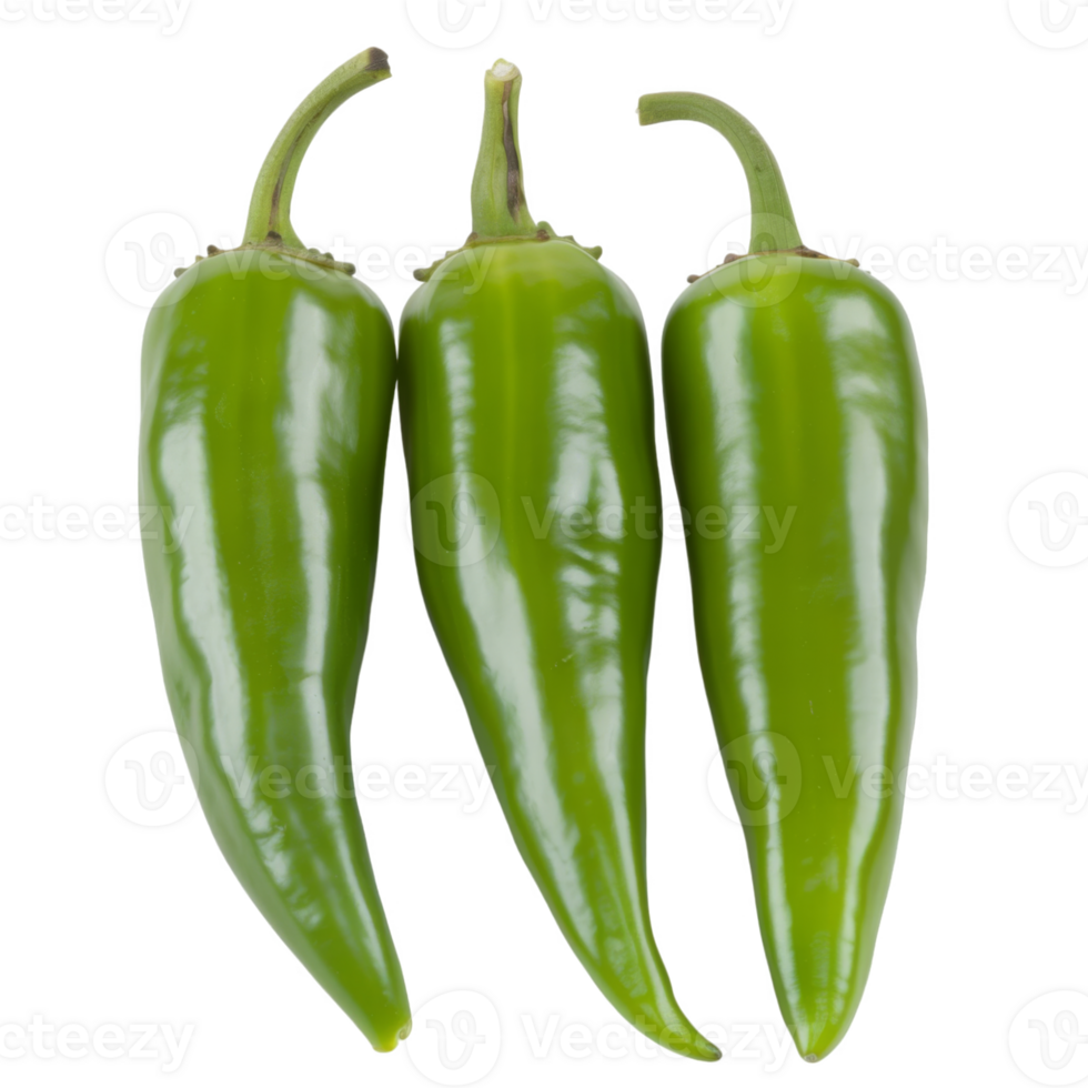 Green Pepper, fruit realistic Illustration. Realistic Transparent file. Mockup template for artwork graphic design png