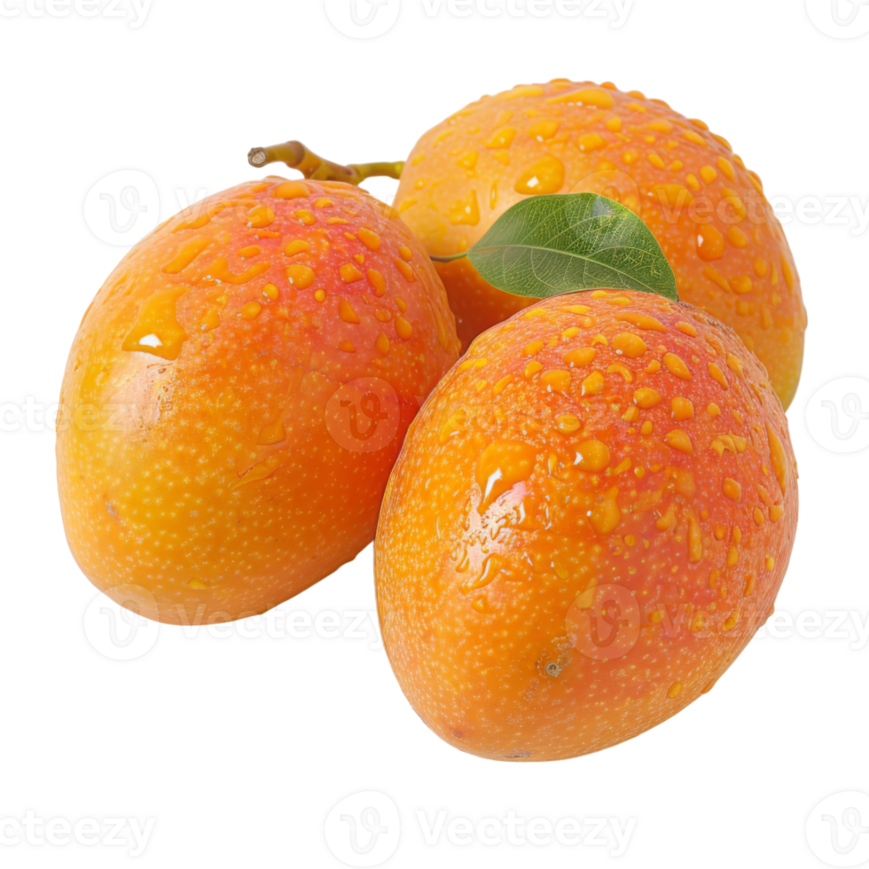 Mango, fruit realistic Illustration. Realistic Transparent file. Mockup template for artwork graphic design png