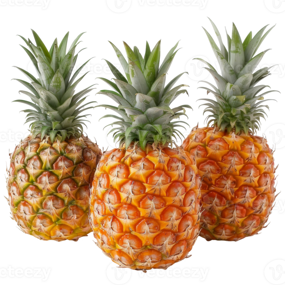 Pineapple, fruit realistic Illustration. Realistic Transparent file. Mockup template for artwork graphic design png