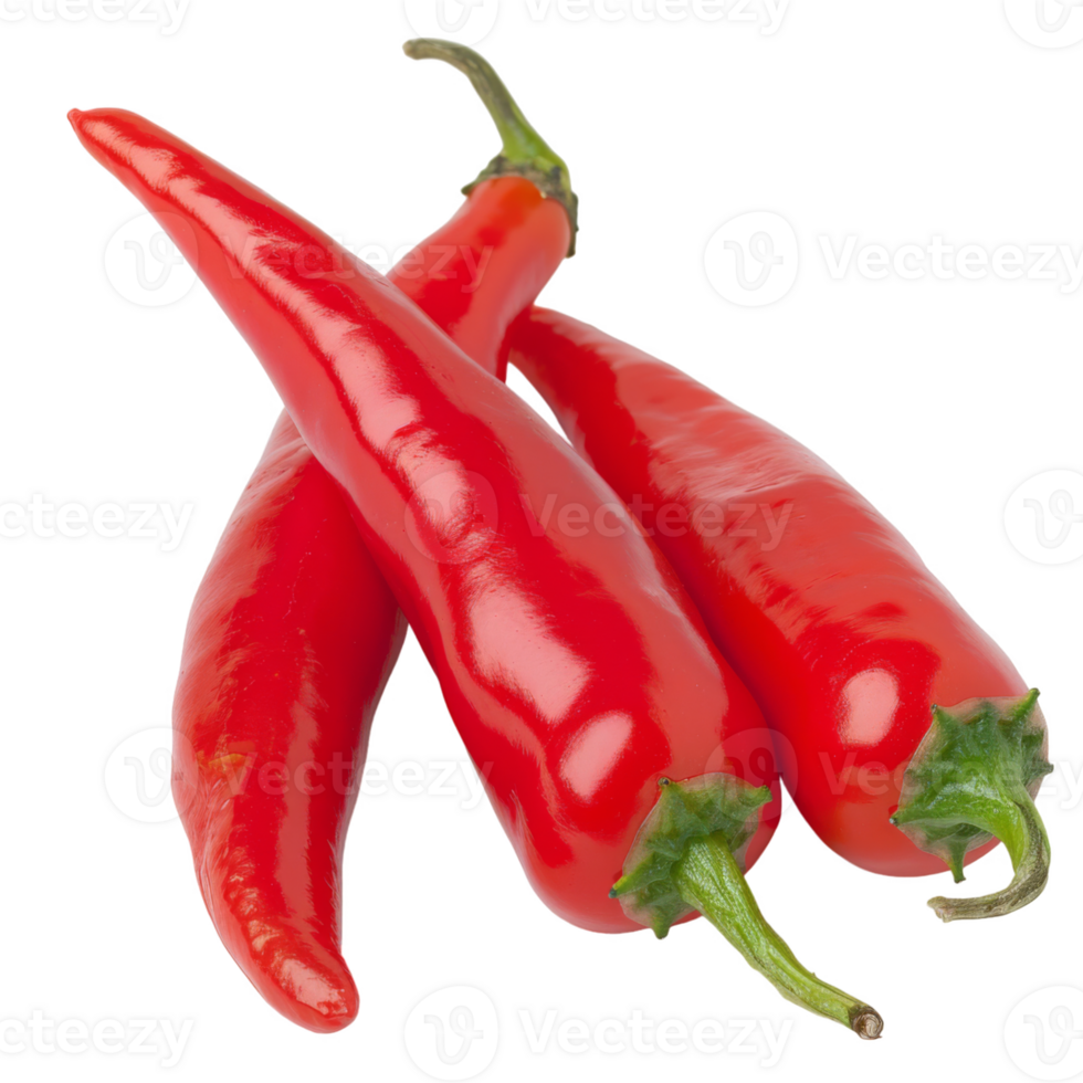 Red Pepper, fruit realistic Illustration. Realistic Transparent file. Mockup template for artwork graphic design png