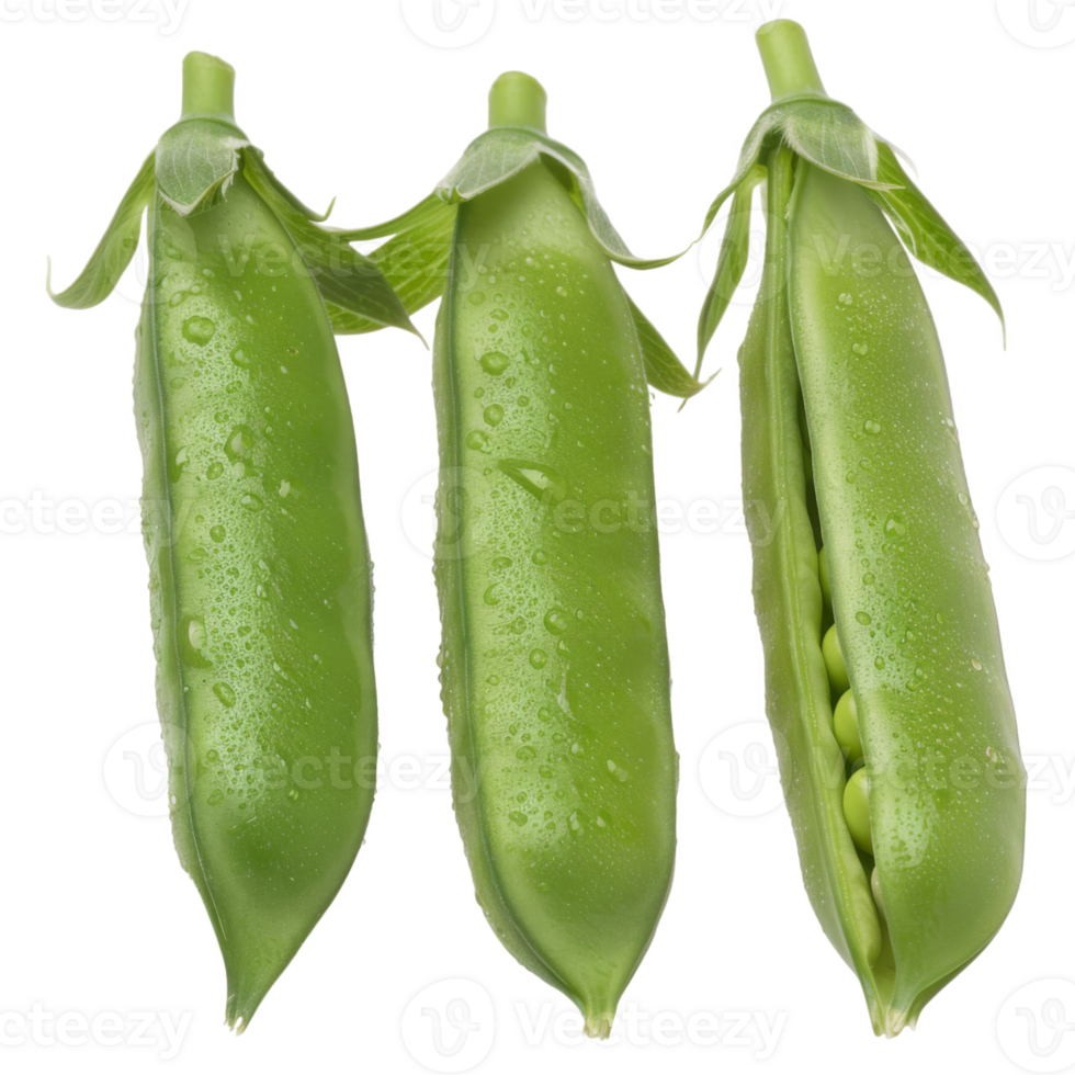 Pea Pods, fruit realistic Illustration. Realistic Transparent file. Mockup template for artwork graphic design png