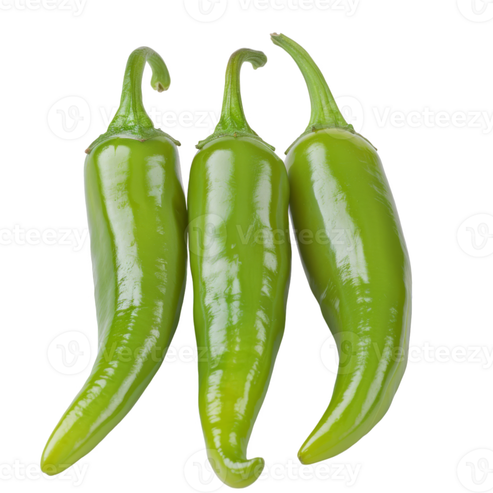 Green Pepper, fruit realistic Illustration. Realistic Transparent file. Mockup template for artwork graphic design png