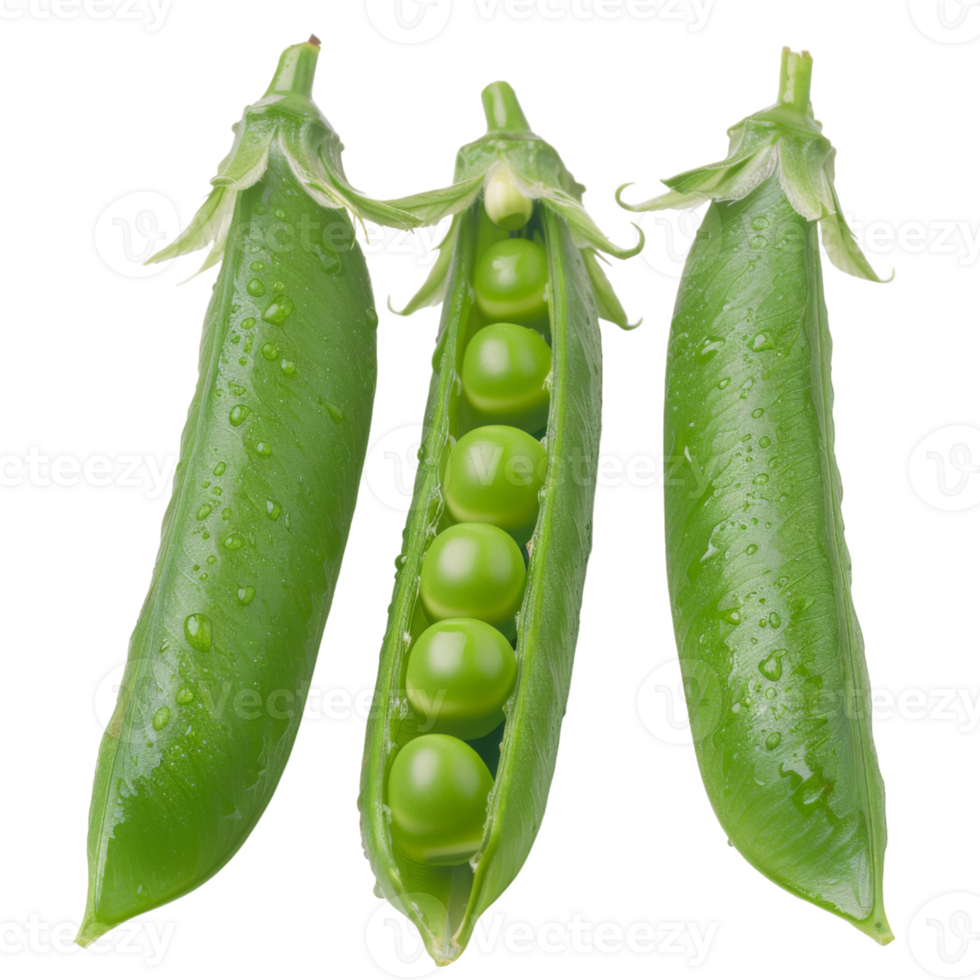 Pea Pods, fruit realistic Illustration. Realistic Transparent file. Mockup template for artwork graphic design png