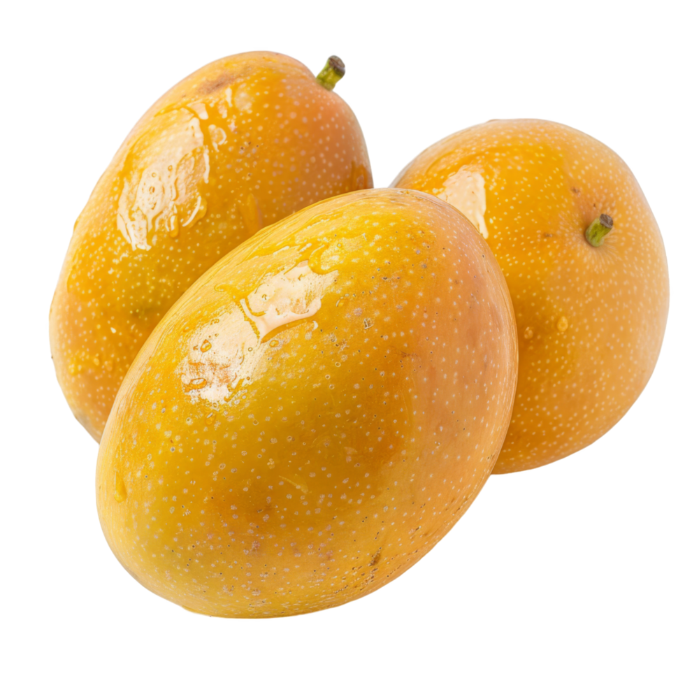 Mango, fruit realistic Illustration. Realistic Transparent file. Mockup template for artwork graphic design png