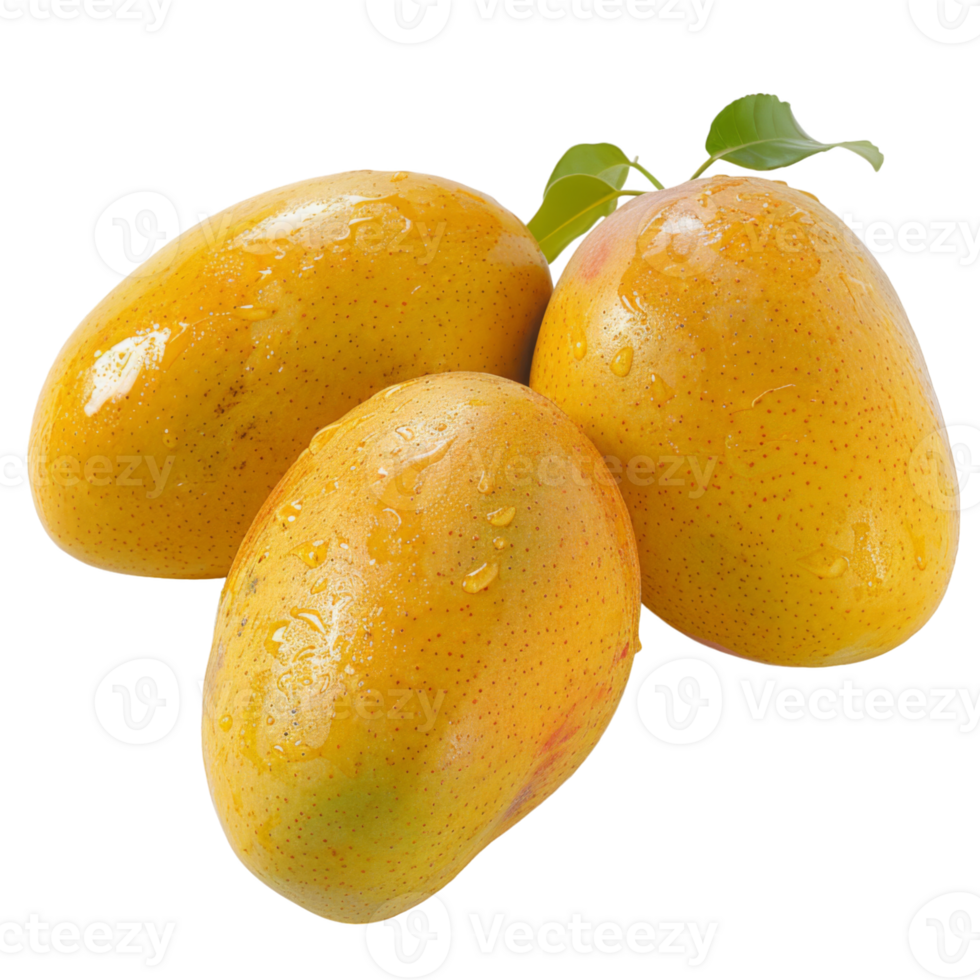 Mango, fruit realistic Illustration. Realistic Transparent file. Mockup template for artwork graphic design png