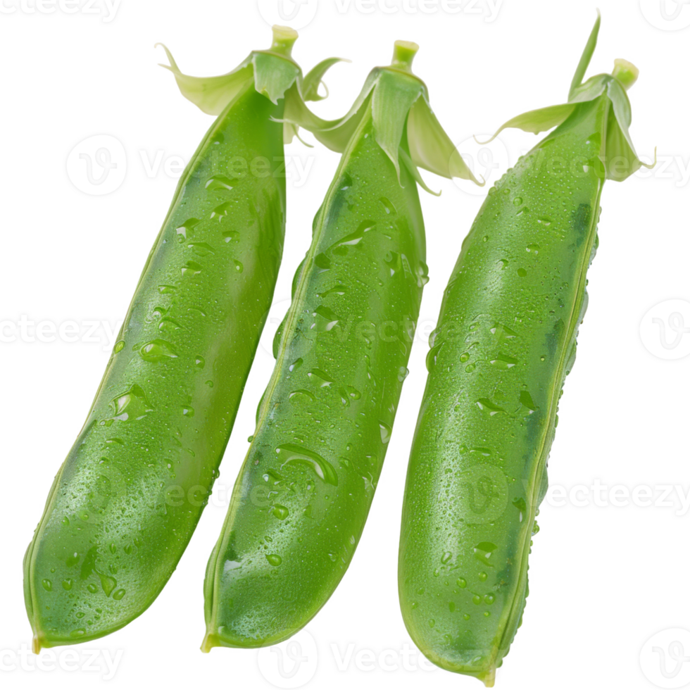 Pea Pods, fruit realistic Illustration. Realistic Transparent file. Mockup template for artwork graphic design png